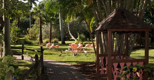 Sarasota Jungle Gardens